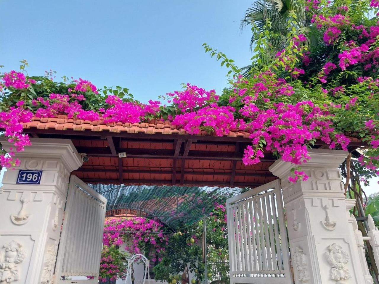 Nha Xanh Homestay Ninh Bình Kültér fotó